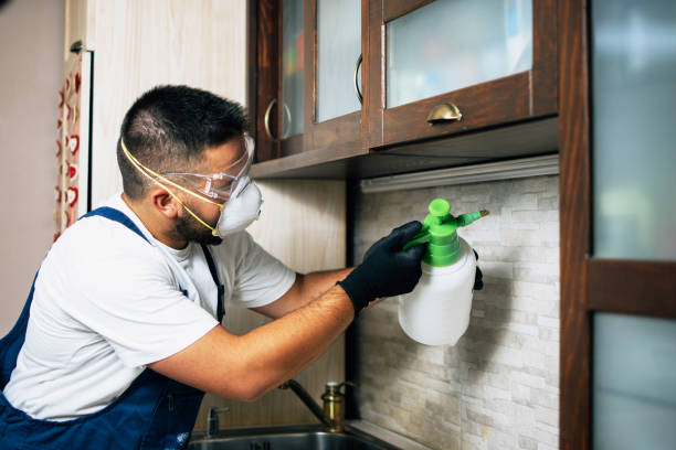 Best Best Pest Control Near Me  in Fort Benton, MT