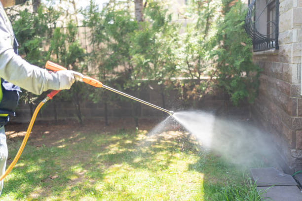 Best Affordable Pest Control Services  in Fort Benton, MT