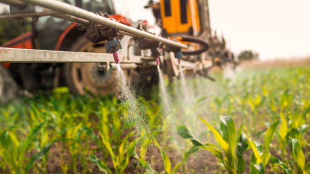 Best Pest Control Near Me in Fort Benton, MT