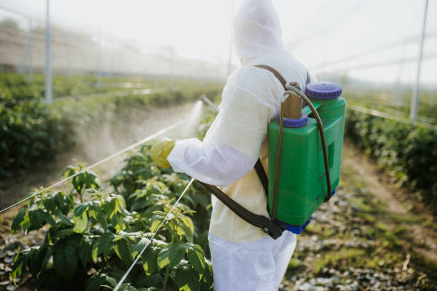 Best Affordable Pest Control Services  in Fort Benton, MT